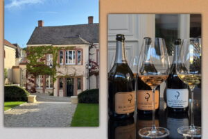 Winery Champagne